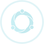 Executive Outplacement Services Executive Connexions
